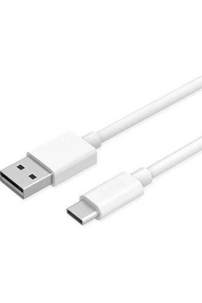 H11 Gökkuşağı Jbl 510 Bt Uyumlu Type-C Şarj Kablosu 2metre - 3