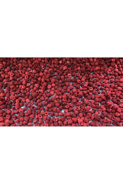 Quruella Freeze dried Ahududu 20gr. dondurularak kurutulmuş meyve - 2