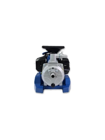 Hyundai HWP10 Benzinli Su Motoru 1" - 4