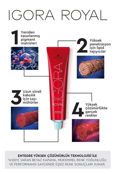 IGORA Royal Doğal Tonlar 6-1 Koyu Kumral Sandre Saç Boyası 60ml - 2