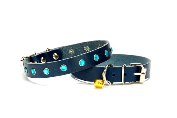Taşlı Kedi ve Yavru Köpek Tasması 1*23 cm Mavi Medium - 2