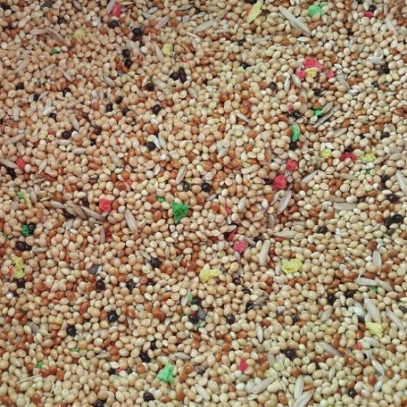 BirdMozz Muhabbet Kuşu Yemi 1 Kg