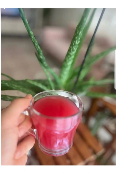 REFLEXX Reflex Detox Tea Detoks Çayı 30 günlük kullanım 60 sachet - 2