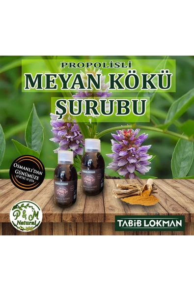 Tabib Lokman Meyan Kökü Şurubu 230 ml 2'li - 1