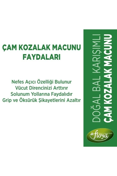 Dr. Floya Doğal Çam Kozalak Macunu Kara Mürver Karışımlı 340 ml x3 (Doğal Bal Karışımlı Kozalak Macunu) - 4