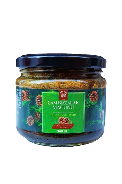 Dr. Floya Doğal Çam Kozalak Macunu Kara Mürver Karışımlı 340 ml x3 (Doğal Bal Karışımlı Kozalak Macunu) - 2