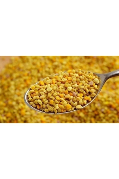 Lokman Polen 100 Gr