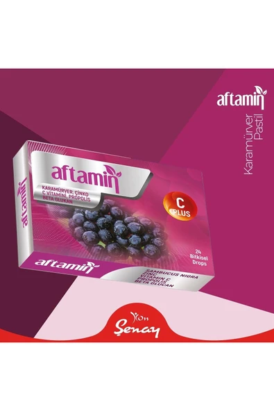 Şenay Aftamin Kara Mürver Pastil - 24 Adet - 1