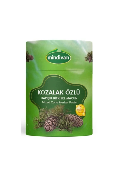 Mindivan Kozalak Macunu 240 gr - Kozalak Özlü Macun Selvi Kozalağı C Vitamini Ilaveli - 2