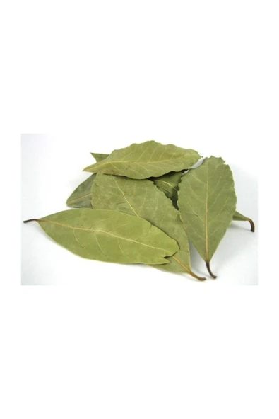 Lokman 1. Kalite Defne Yaprağı 100 gr - 2