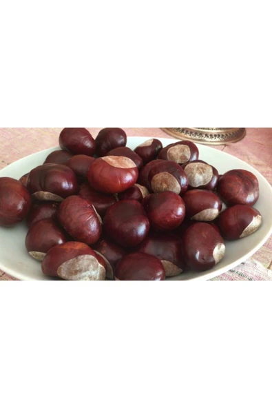 Lokman At Kestanesi 100 Gr ürün görseli