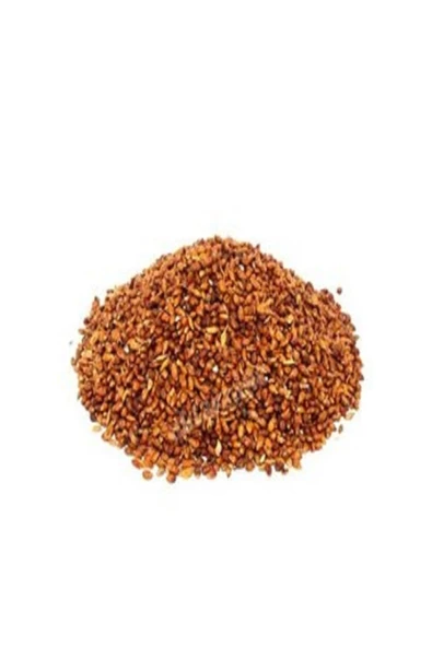pavrika Süpürge Tohumu 100 Gr - 1