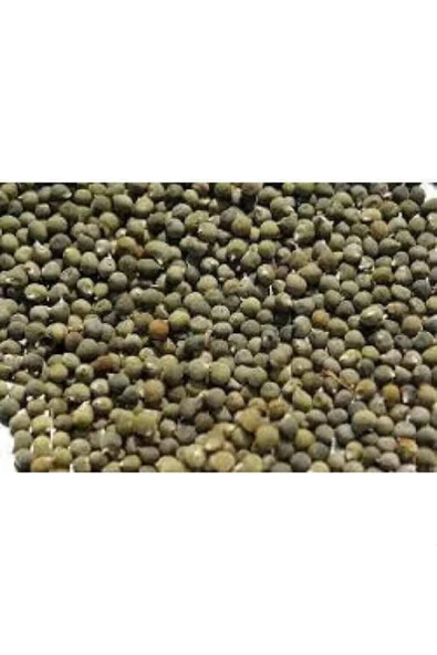 BALIKESİR TOHUM Bamya Tohumu Yerli 1 Kg (ilaçsız- Yenilebilir) 1. Kalite Balıkesir Yeni Mahsül - 3