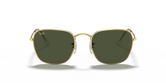 RAY-BAN RB3857 FRANK 9196/31 51 20 140 3N UNİSEX GÜNEŞ GÖZLÜĞÜ - Resim 5