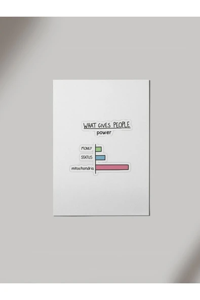 Panorama Ajans Tyt Ayt Öğrencilere Grafik Sticker Ahşap Poster Tablo ürün görseli 1