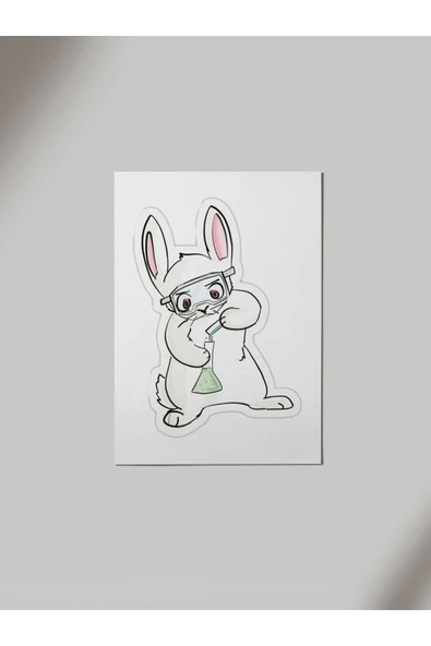 Panorama Ajans Laborant Tavşan Stikcer Tasarım Ahşap Poster Tablo ürün görseli 1