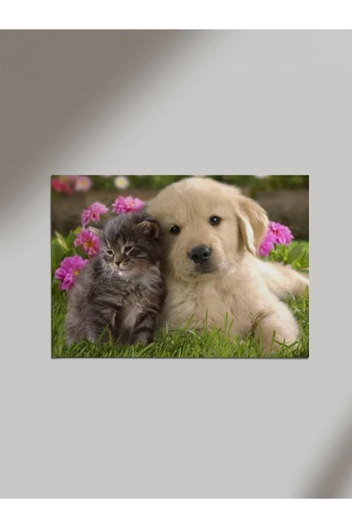 Panorama Ajans Sevimli Hayvanlar Kedi Köpek Arkadaş Dost Ahşap Poster Tablo ürün görseli 1