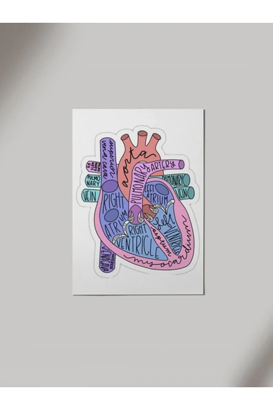 Panorama Ajans Sağlıkçı Sevgiliye Tatlı Kalp Tasarım Sticker Ahşap Poster Tablo ürün görseli 1