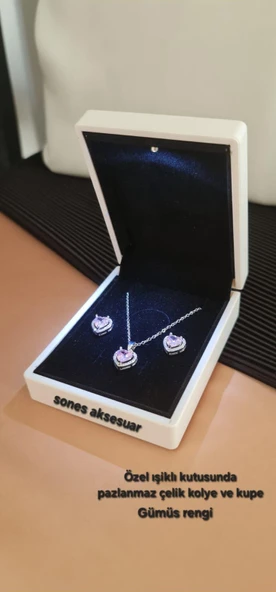 Işıklı Kutusunda Çelik  Kolye ve Küpe ürün görseli