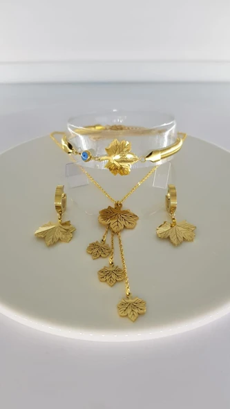 Çınar Gold Çelik Takı Seti 353 ürün görseli