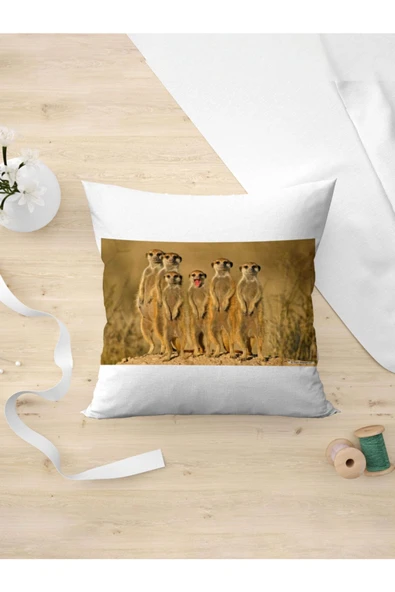 Panorama Ajans Mirket Tatlı Komik Hayvanlar Yastık Kılıfı ürün görseli 1