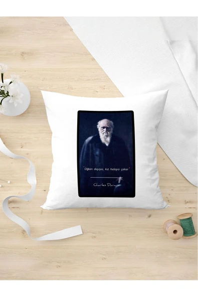 Panorama Ajans Bilim Adamları Charles Darwin Eğlenceli Evrim Tasarım Yastık Kılıfı ürün görseli 1