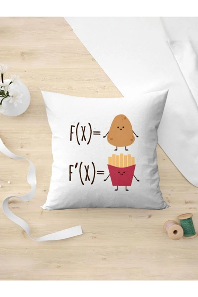 Panorama Ajans Ayt Tyt Öğrencilere Türev Matematik Komik Yastık Kılıfı ürün görseli 1