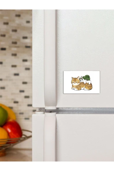 Panorama Ajans Cat And Turtle Süs Dekor 6x9cm Magnet ürün görseli 1