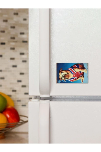 Panorama Ajans Amerika Bayraklı Köpek Süs Dekor 6x9cm Magnet ürün görseli