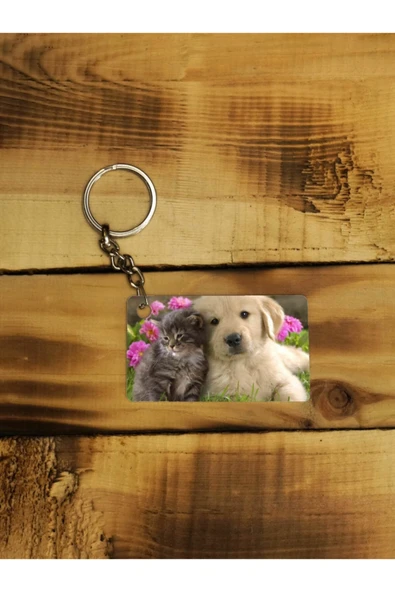 Panorama Ajans Sevimli Hayvanlar Kedi Köpek Arkadaş Dost Ince Metal Anahtarlık