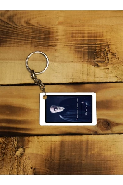 Panorama Ajans Charles Darvin Ince Metal Anahtarlık ürün görseli