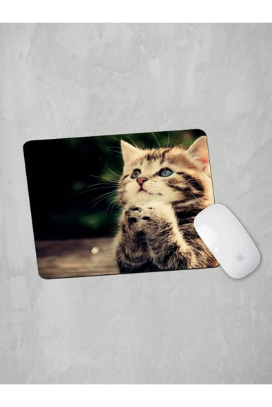 Panorama Ajans Tatlı Yavru Kedi Mousepad ürün görseli 1