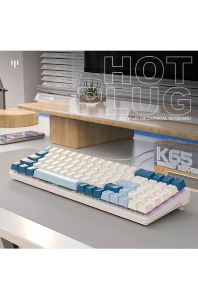 ATAsoft ELEKTRONİK Since 2021 K65 Oyuncu Klavyesi Gaming Mekanik 78 Tuşlu Rainbow Aydınlatmalı Hot-Swapp Usb Tip-c Kablosu - 2