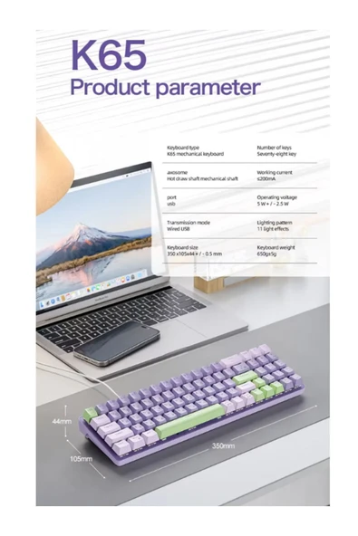 ATAsoft ELEKTRONİK Since 2021 K65 Oyuncu Klavyesi Gaming Mekanik 78 Tuşlu Rainbow Aydınlatmalı Hot-Swapp Usb Tip-c Kablosu - Resim 8