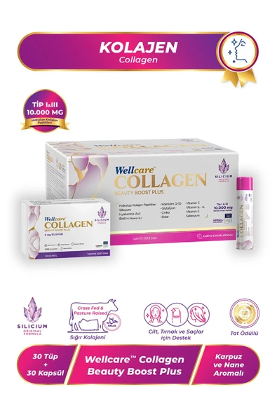 Wellcare Collagen Beauty Boost Plus Karpuz Nane Aromalı 10.000 mg Likit Form - 30 Tüp & 30 Kapsül