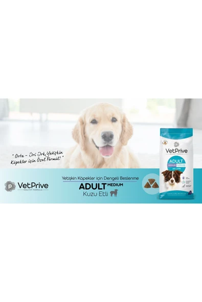 VetPrive Vet Prive Orta Ve Iri Irk Yetişkin Köpek Maması Kuzu Etli 14 Kg - 2
