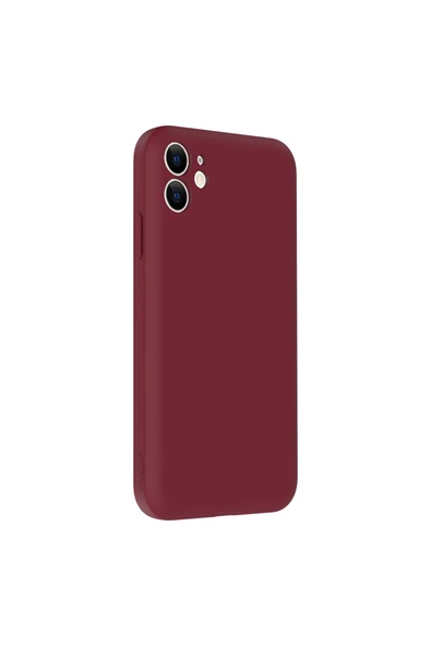 KILIFTECH iPhone 11 Kılıf Kamera Korumalı Kartlık Hazneli KTH Vitra Kapak - Pembe - Resim 3