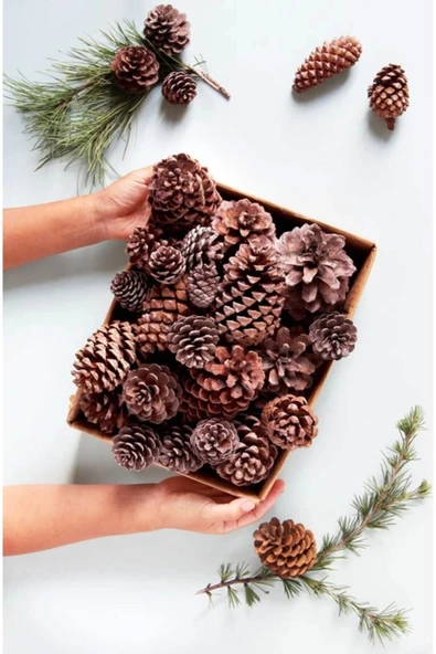 Doğal Boyasız Orta Boy Kozalak Yılbaşı Yemek Masası Ve Çam Süsü - 12 Adet ürün görseli