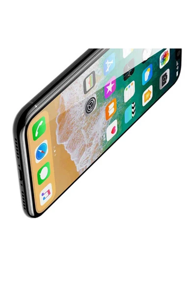 zore iPhone 11 Uyumlu TUVA Rika Premium Temperli Cam Ekran Koruyucu - 3