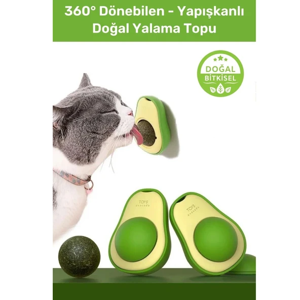 Mucit Home  Yenilebilir Doğal Avokado Stili Kedi Çimeni Dönen Topu