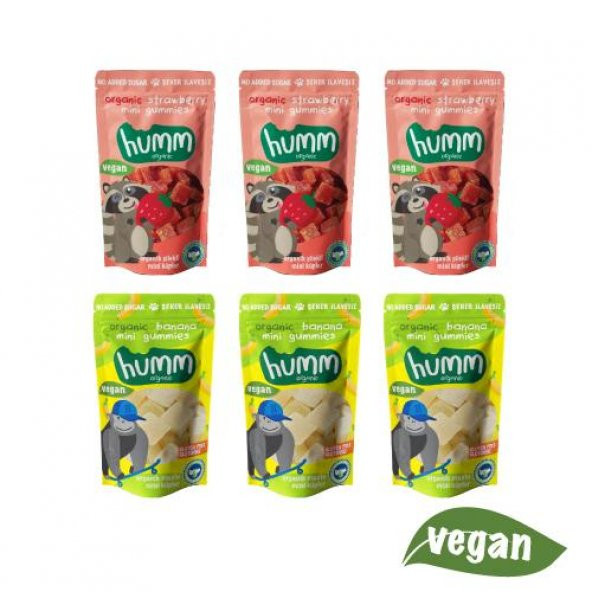 Mix Mini Küpler Vegan Atıştırmalık Paketi 6 Adet (2 çeşit)