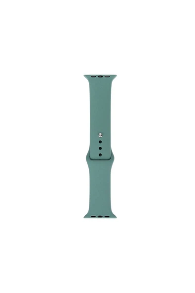 KILIFTECH Watch 38mm Band Serisi Klasik Kordon Silikon Strap Kayış-Cactus - 1