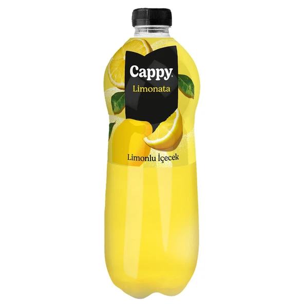 Cappy Limonata ve Ramazan Şerbeti 1 lt 12 li Karma Paket - 2