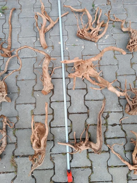 Netx Çöl (Yati) Kütüğü Bağ 35-45 cm - Resim 2