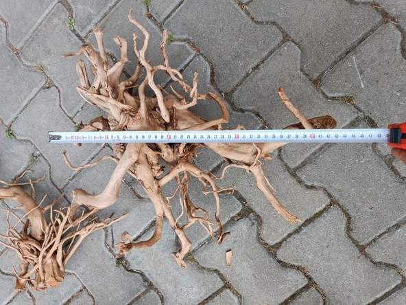 Netx Çöl (Yati) Kütüğü Bağ 35-45 cm - Resim 6