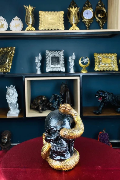 Dekoratif Polyester Yılanlı Kuru Kafa Biblo