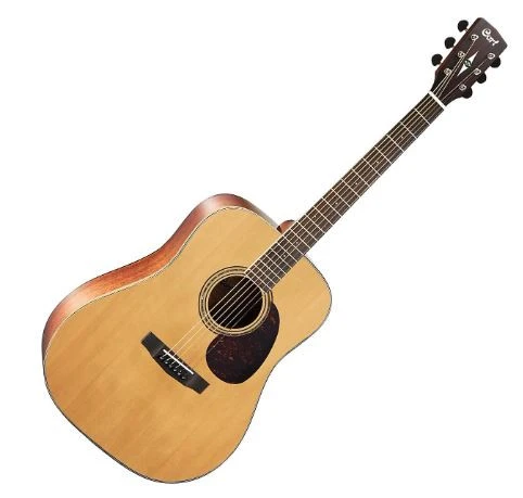 Cort EARTH100NS Natural Satin Akustik Gitar kutu hasaralı