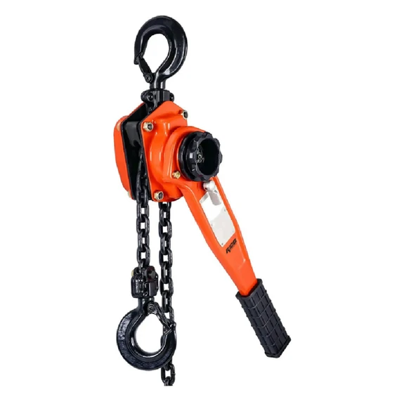 Ri̇co Hubzug 1,5 Ton X 2 M ürün görseli