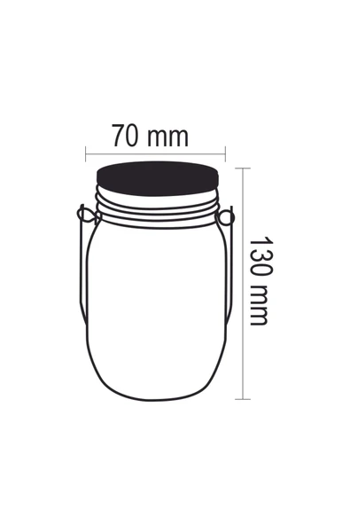 Forlife Güneş Enerjili 3 W Rgb Peri Led Dekoratif Kavanoz - 3