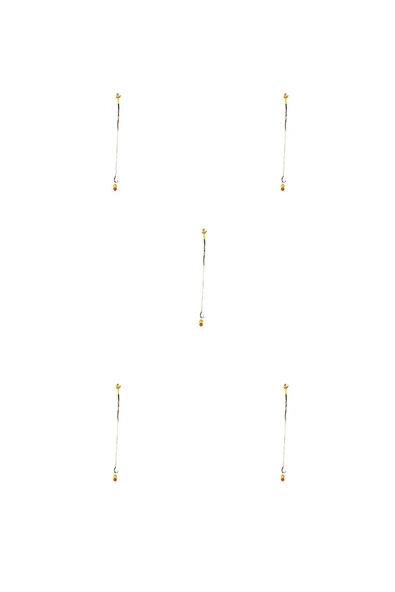 AYYURT Sazan Rig Takımı Küspe Aparatlı 5 Adet Yüzen Rig anti-tang